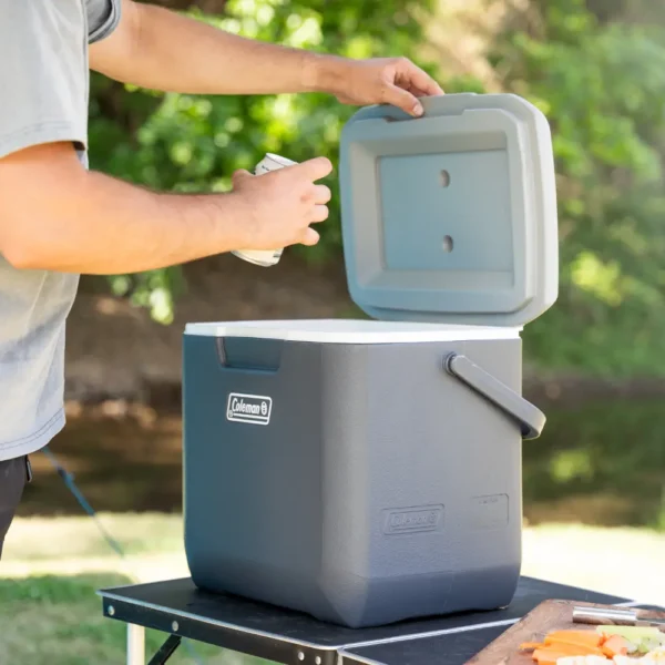 CM1151 COLEMAN 2201098 DAINTREE PERSONAL HARD COOLER 28L