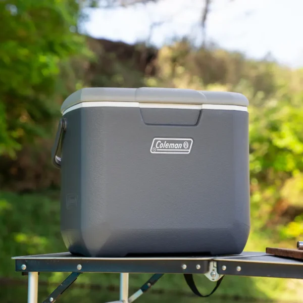 CM1151 COLEMAN 2201098 DAINTREE PERSONAL HARD COOLER 28L