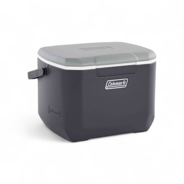 CM1150 DAINTREE PERSONAL HARD COOLER 15L